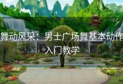 舞动风采：男士广场舞基本动作入门教学
