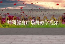 帅哥健身广场舞教学视频