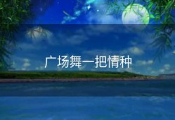 广场舞一把情种