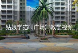 姑娘学猫叫广场舞教学视频