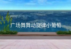 广场舞舞动旋律小葡萄