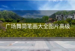 广场舞简笔画大全图片高级