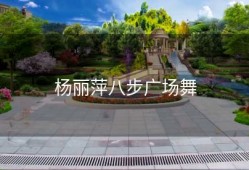 杨丽萍八步广场舞