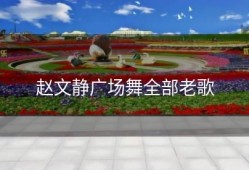 赵文静广场舞全部老歌