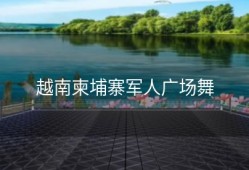越南柬埔寨军人广场舞