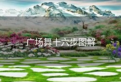 广场舞十六步图解