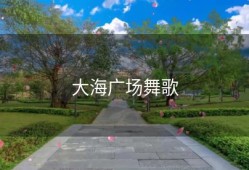 大海广场舞歌