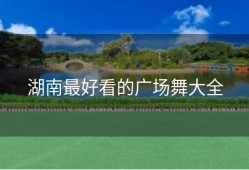 湖南最好看的广场舞大全