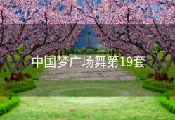 中国梦广场舞第19套