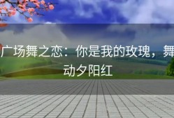 广场舞之恋：你是我的玫瑰，舞动夕阳红