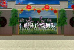 有哪些广场舞队