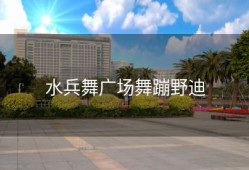 水兵舞广场舞蹦野迪