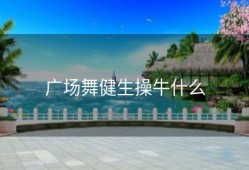 广场舞健生操牛什么