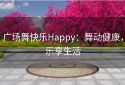 广场舞快乐Happy：舞动健康，乐享生活