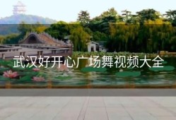 武汉好开心广场舞视频大全