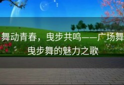 舞动青春，曳步共鸣——广场舞曳步舞的魅力之歌