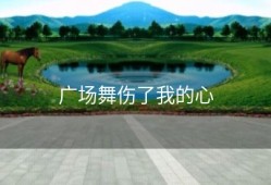 广场舞伤了我的心