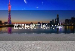 苗族民歌广场舞小草