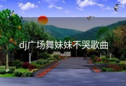 dj广场舞妹妹不哭歌曲