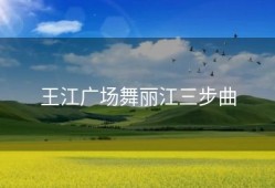 王江广场舞丽江三步曲