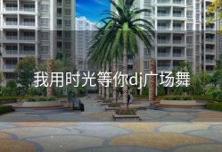 我用时光等你dj广场舞