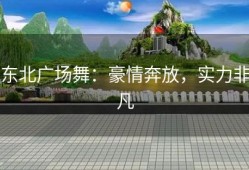东北广场舞：豪情奔放，实力非凡