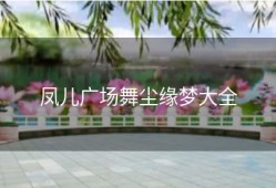 凤儿广场舞尘缘梦大全