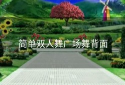 简单双人舞广场舞背面
