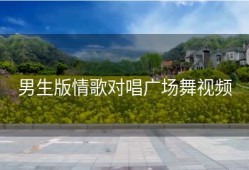 男生版情歌对唱广场舞视频