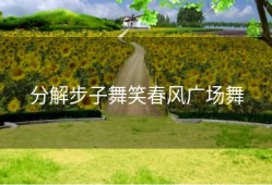 分解步子舞笑春风广场舞