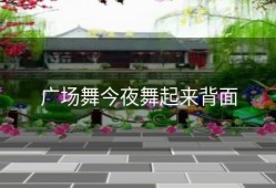 广场舞今夜舞起来背面