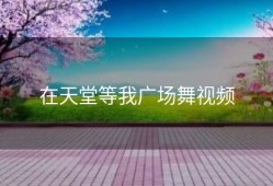在天堂等我广场舞视频