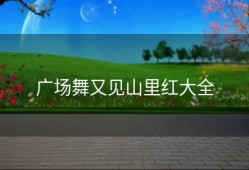 广场舞又见山里红大全