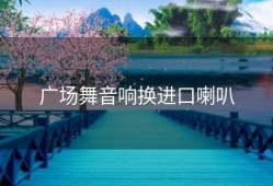 广场舞音响换进口喇叭