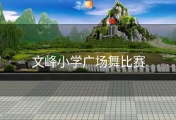 文峰小学广场舞比赛