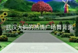 武汉大妈的热情广场舞背面