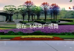 歌在飞朵朵广场舞