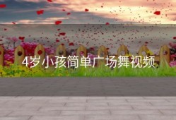 4岁小孩简单广场舞视频