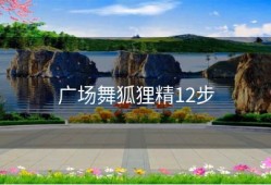 广场舞狐狸精12步