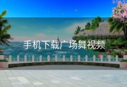 手机下载广场舞视频