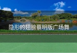 隐形的翅膀蔡明版广场舞