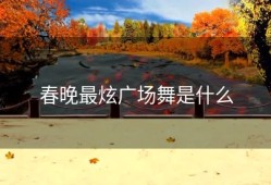 春晚最炫广场舞是什么