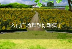 入门广场舞想你想疯了