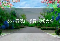 农村春晚广场舞视频大全