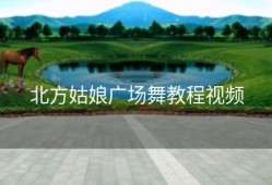 北方姑娘广场舞教程视频