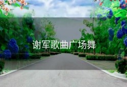 谢军歌曲广场舞