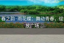 春之韵·雨花蝶：舞动青春，绽放广场