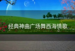 经典神曲广场舞西海情歌