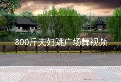 800斤夫妇跳广场舞视频