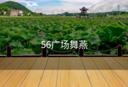 56广场舞燕